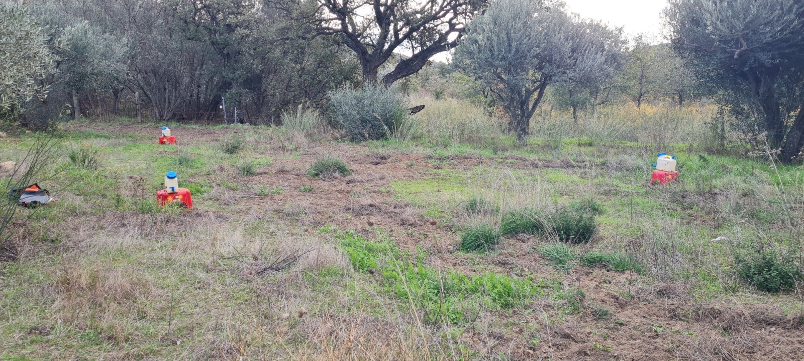 Etude de sol hydrogéologique pour la définition d'une filière d'assainissement non collectif sur la commune de LE PLAN DE LA TOUR dans le VAR (83) - vue d'ensemble des sondages