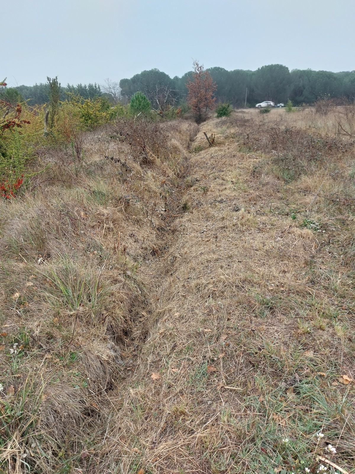 Etude hydraulique pour la mise en place d'un système de régulation par rétention des eaux pluviales sur LES ARCS SUR ARGENS 83490, dans le VAR (83)