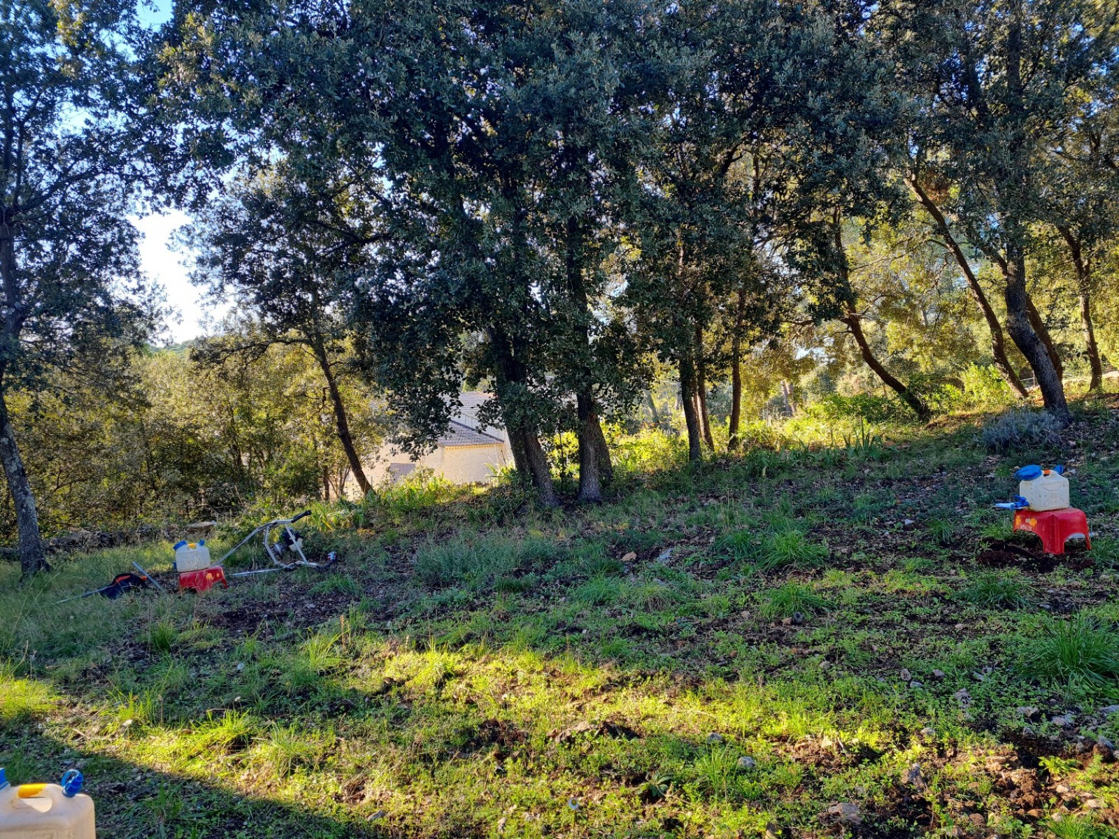 Etude de sol hydrogéologique pour la définition d'une filière d'assainissement non collectif sur la commune de CARNOULES dans le VAR (83) - vue d'ensemble de la zone étudiée