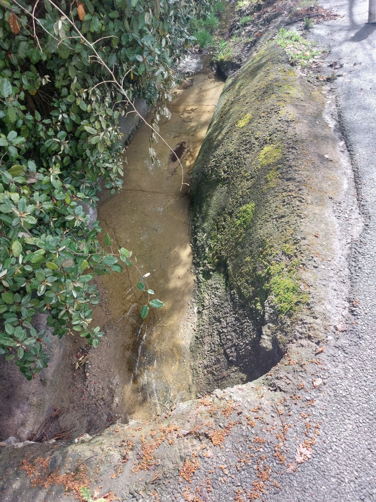 Etude hydrogéologique pour la mise en place d'un système de régulation par rétention des eaux pluviales sur MOUGINS 06250, dans les Alpes Maritimes (06)