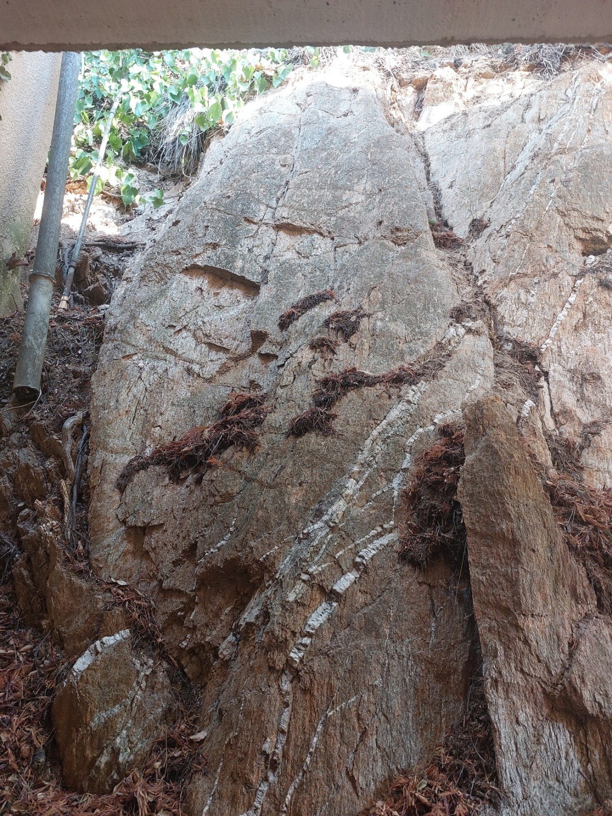 Etude hydraulique pour la mise en place d'un système de régulation des eaux pluviales par rétention sur LE LAVANDOU 83980, dans le Var 83