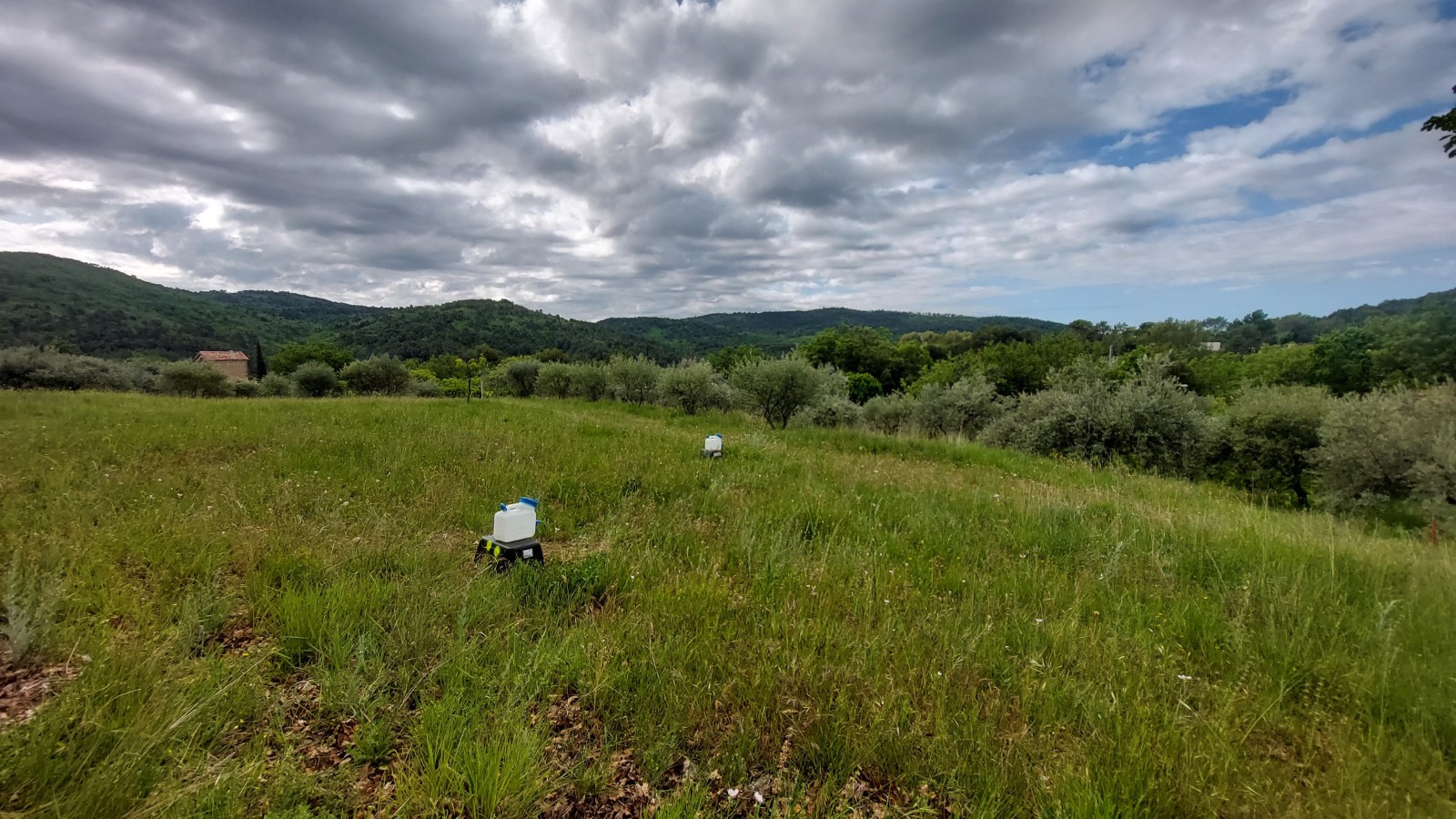 Etude hydraulique pour la gestion des eaux pluviales de ruissellement sur Montferrat (83), Var, ecosystem