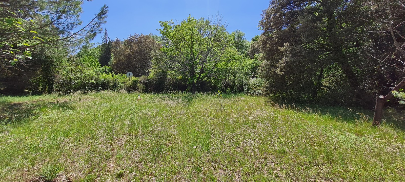 Etude de sol hydrogéologique pour la définition d'une filière d'assainissement non collectif sur la commune de SILLANS LA CASCADE dans le VAR (83) - Vue d'ensemble des sondages