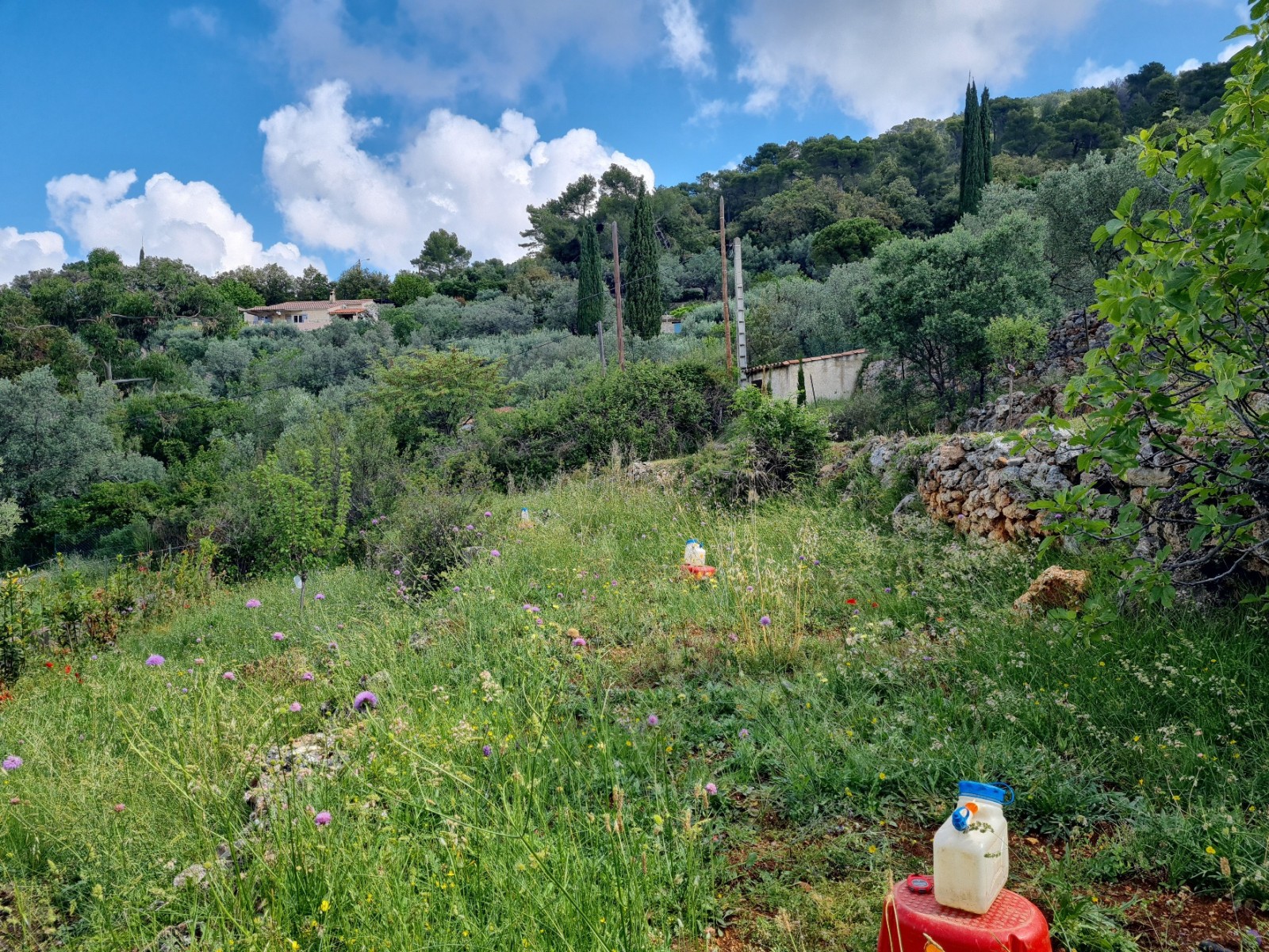 Etude de sol hydrogéologique pour la définition d'une filière d'assainissement non collectif sur la commune de CLAVIERS dans le VAR (83) - vue d'ensemble des sondages