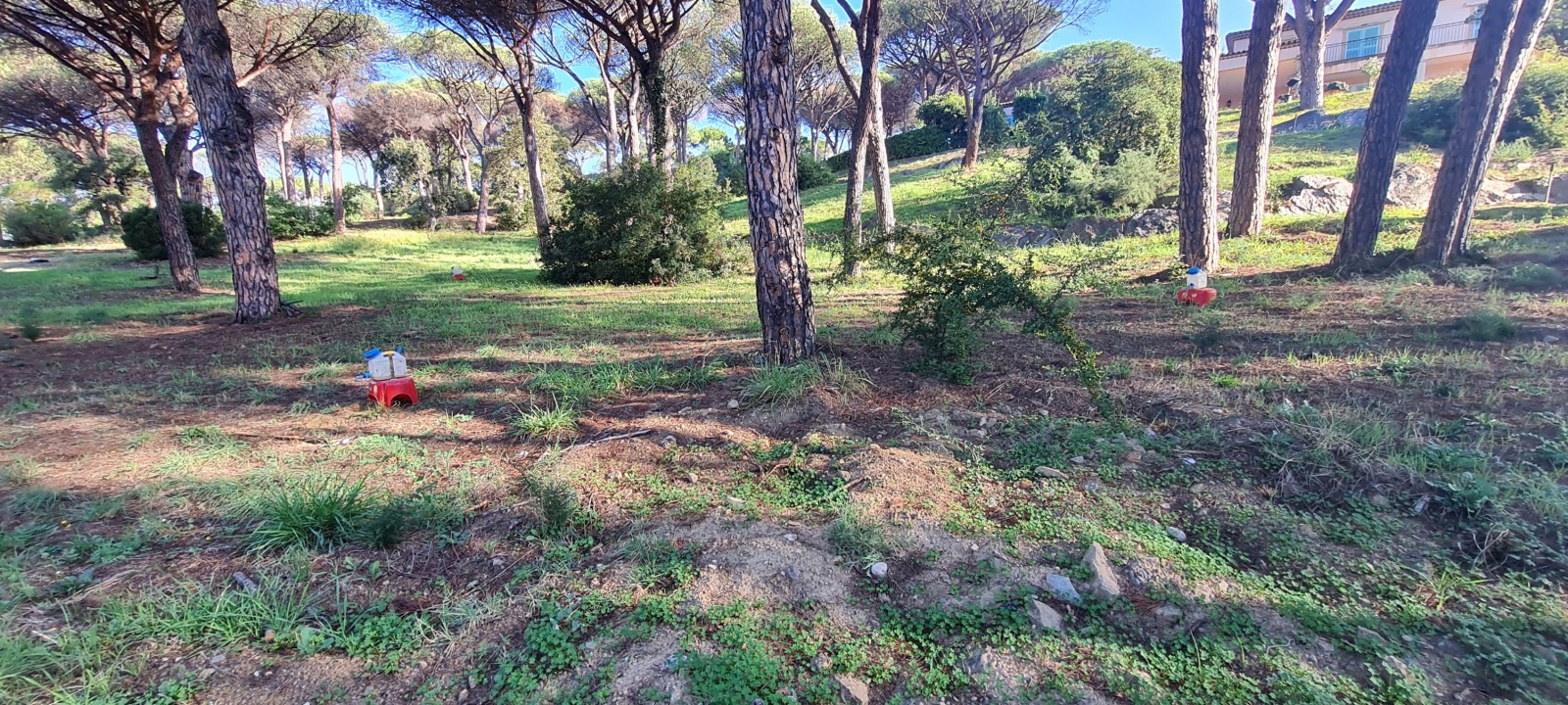 Etude de sol hydrogéologique pour la définition d'une filière d'assainissement non collectif sur la commune de SAINT TROPEZ dans le VAR (83) - vue d'ensemble des sondages