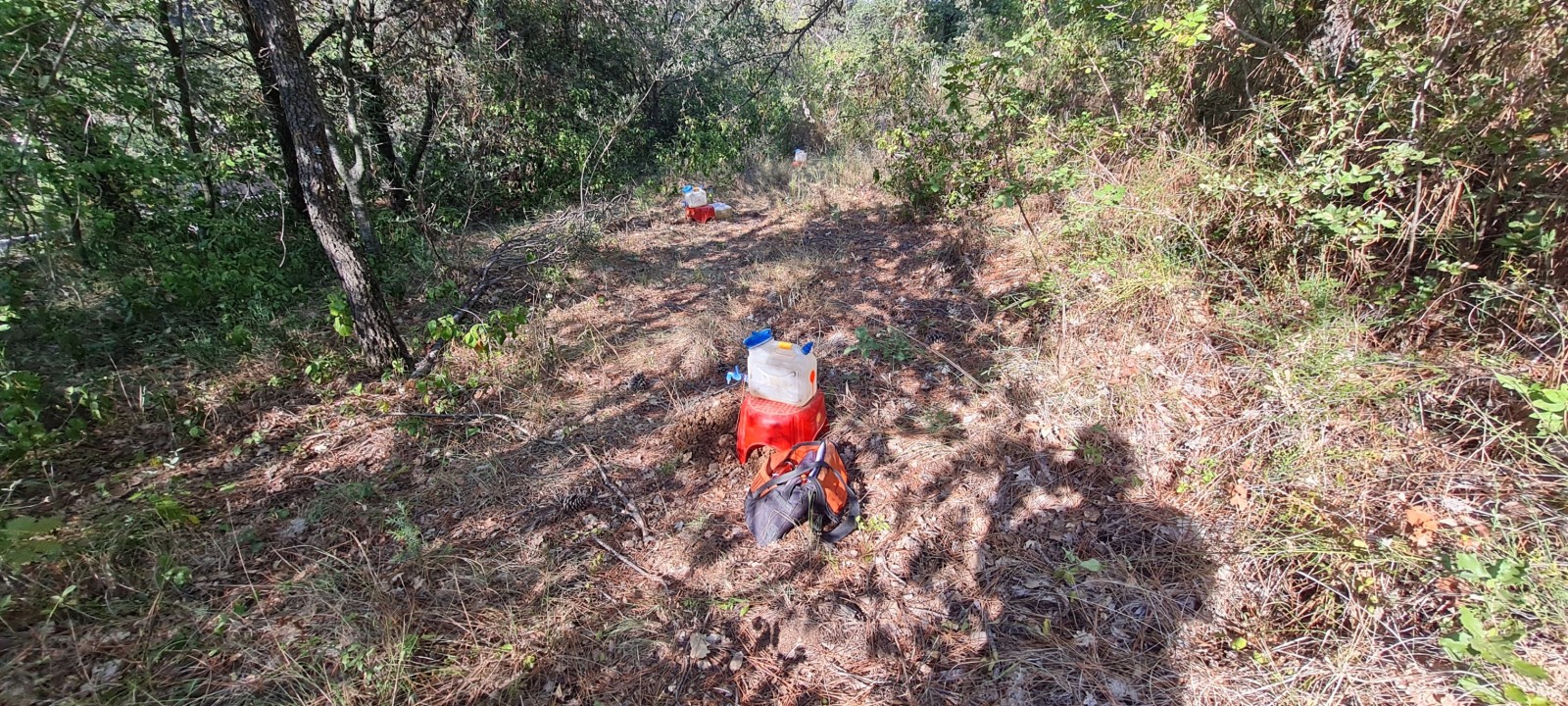 Etude de sol hydrogéologique pour la définition d'une filière d'assainissement non collectif sur la commune de FIGANIERES dans le VAR (83) - vue d'ensemble des sondages