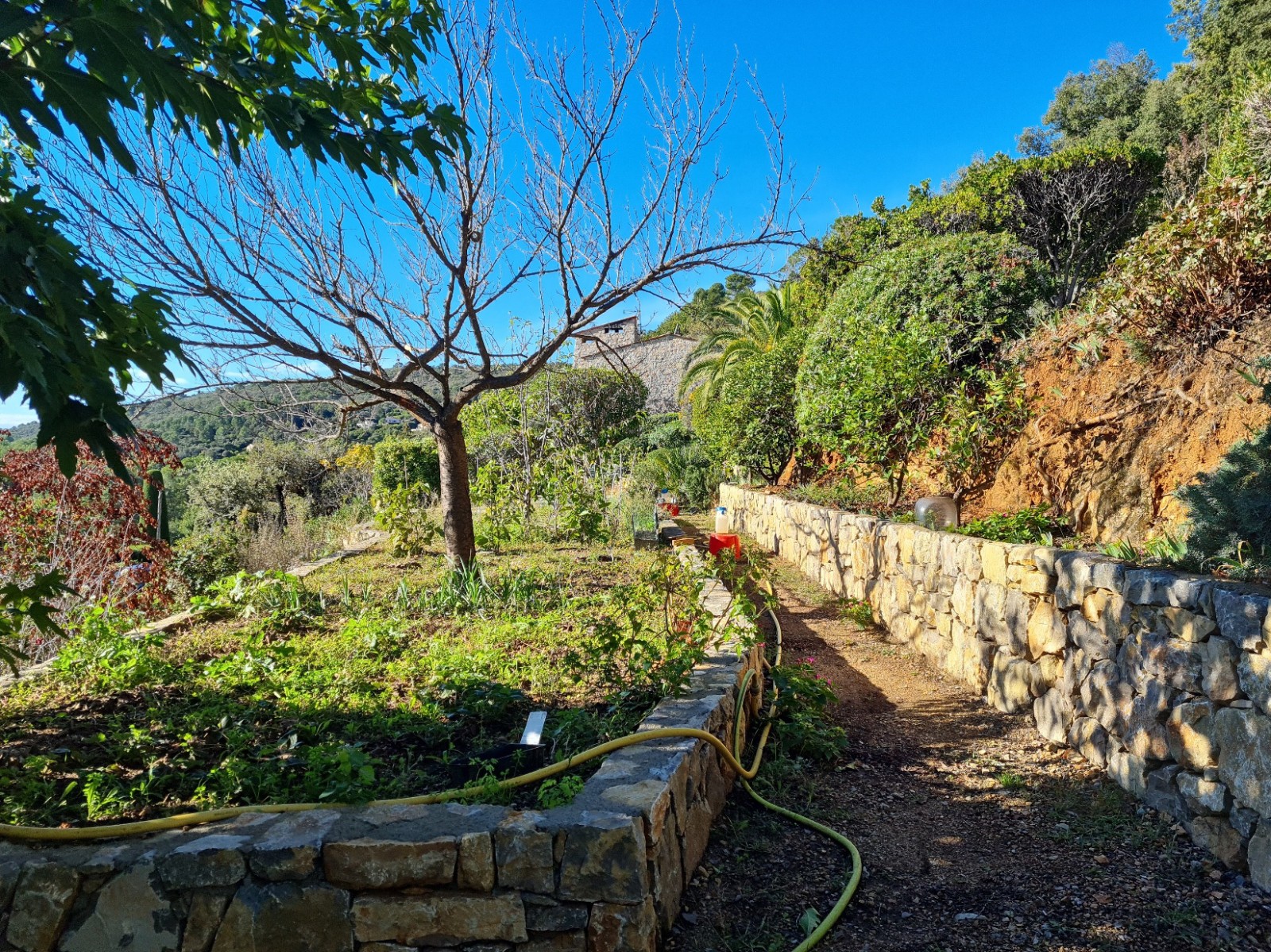 Etude de sol hydrogéologique pour la définition d'une filière d'assainissement non collectif sur la commune de MONTAUROUX dans le VAR (83) - vue d'ensemble des sondages