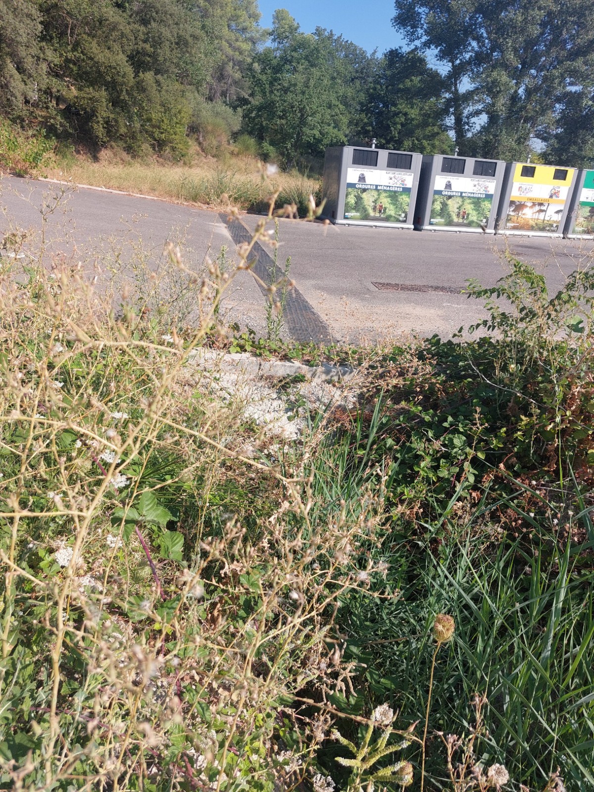 Etude hydraulique pour la mise en place d'un bassin de régulation des eaux pluviales à SAINT-ANTONIN-DU-VAR 83510, dans le Var (83)