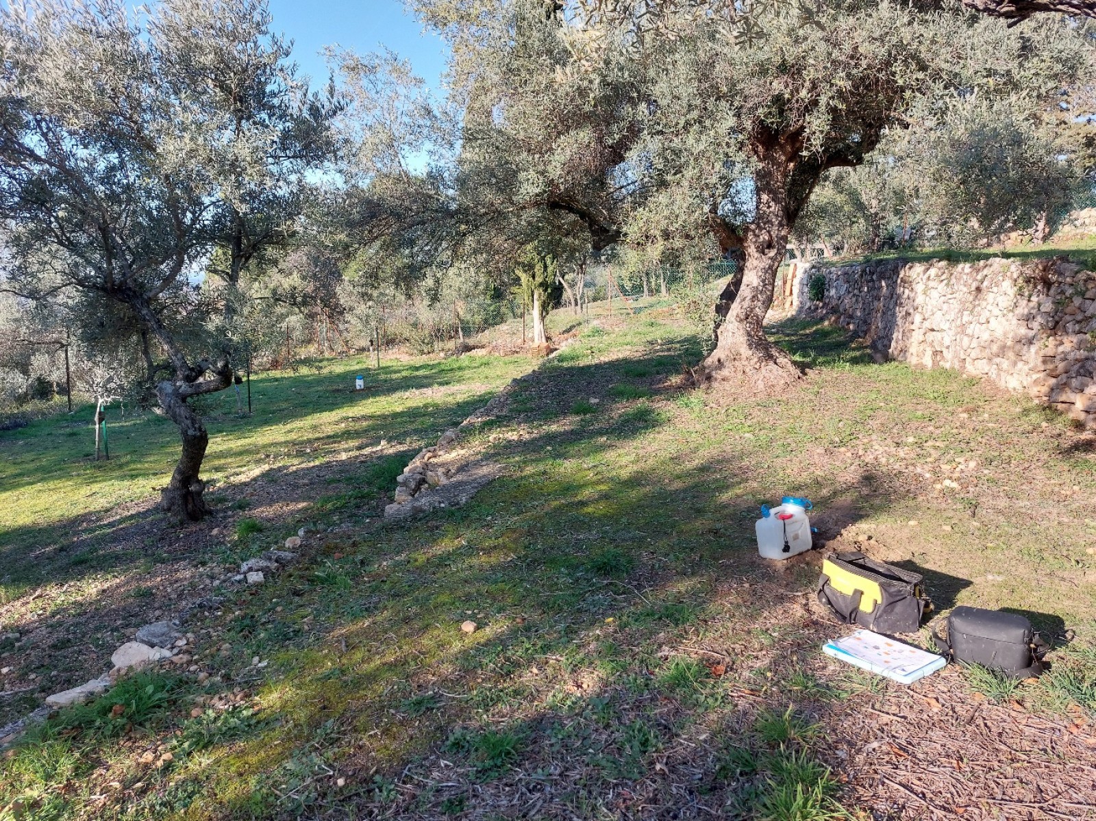Etude hydraulique pour la mise en place d'un système de régulation des eaux pluviales sur MONTAUROUX 83440, dans le VAR (83)