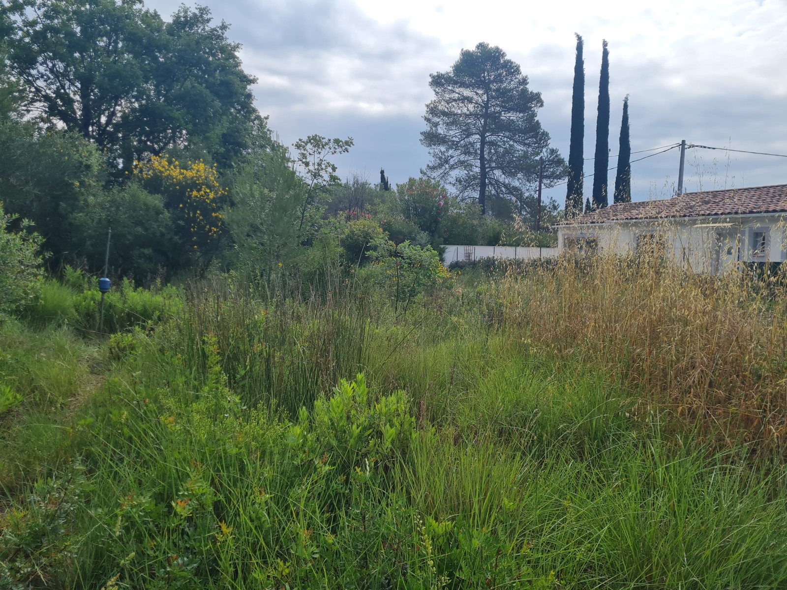 Etude géotechnique G1 sur la commune de la MOTTE