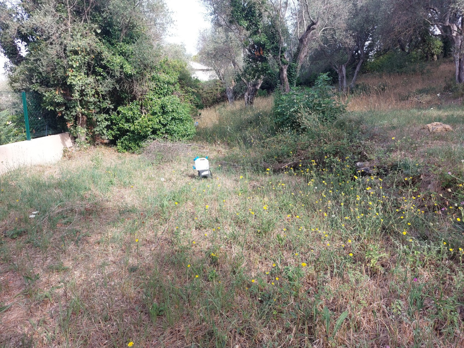 Etude hydraulique pour la mise en place d'un bassin d'infiltration à OPIO 06650, dans les Alpes-Maritimes (06)