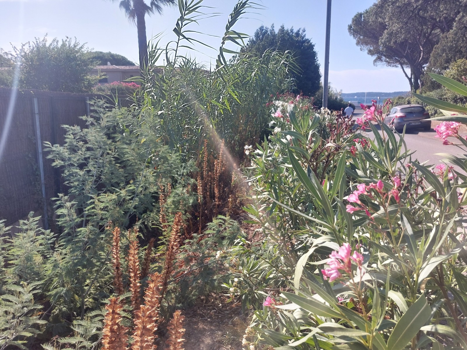 Etude hydraulique pour la mise en place d'un système de régulation des eaux pluviales par rétention sur SAINTE-MAXIME 83120, dans le Var 83