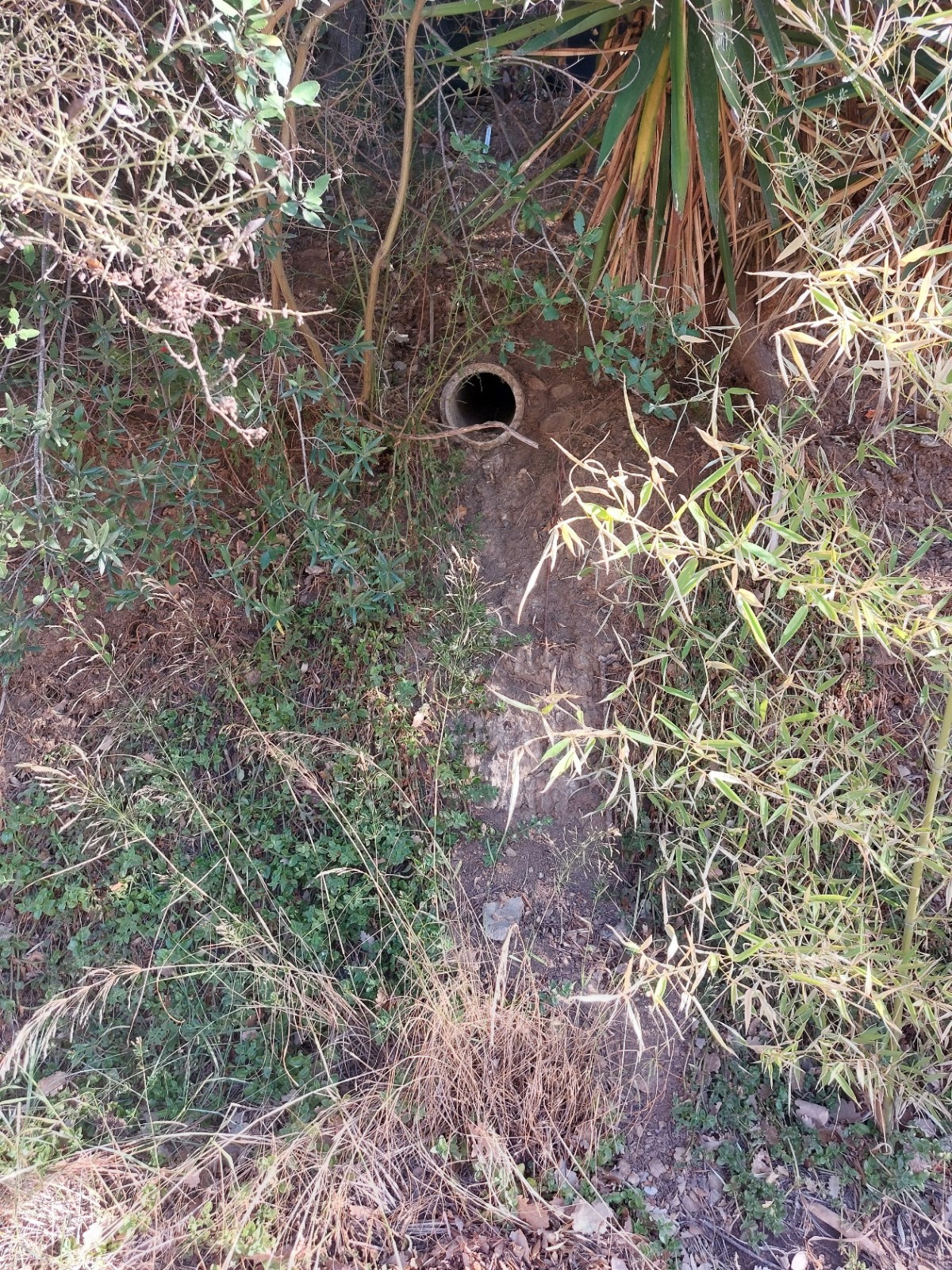 Etude hydraulique pour la mise en place d'un bassin de régulation des eaux pluviales à GRIMAUD 83310, dans le Var (83)