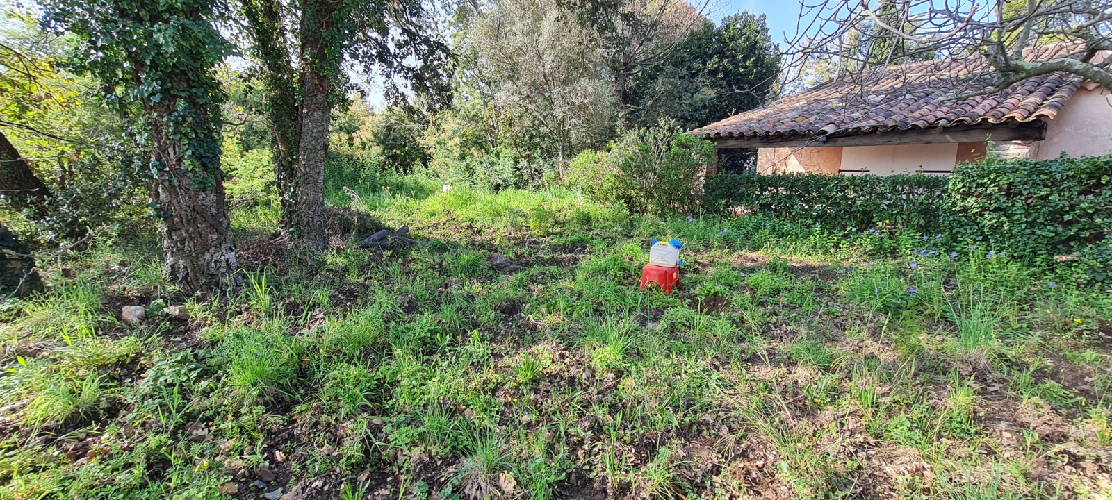 Remise aux normes d'un ancien système d'assainissement non collectif dans le cadre d'une vente de l'habitation - sondages