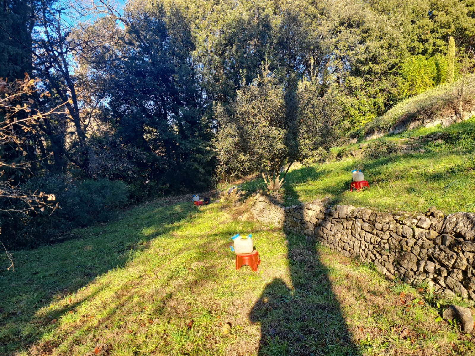 Etude de sol hydrogéologique pour la définition d'une filière d'assainissement non collectif sur la commune de GRASSE dans les ALPES MARITIMES (06) - vue d'ensemble de la zone étudiée