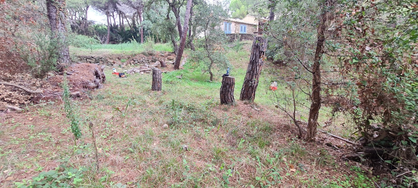 Etude de sol hydrogéologique pour la définition d'une filière d'assainissement non collectif sur la commune de RAMATUELLE dans le VAR (83) - vue d'ensemble du terrain