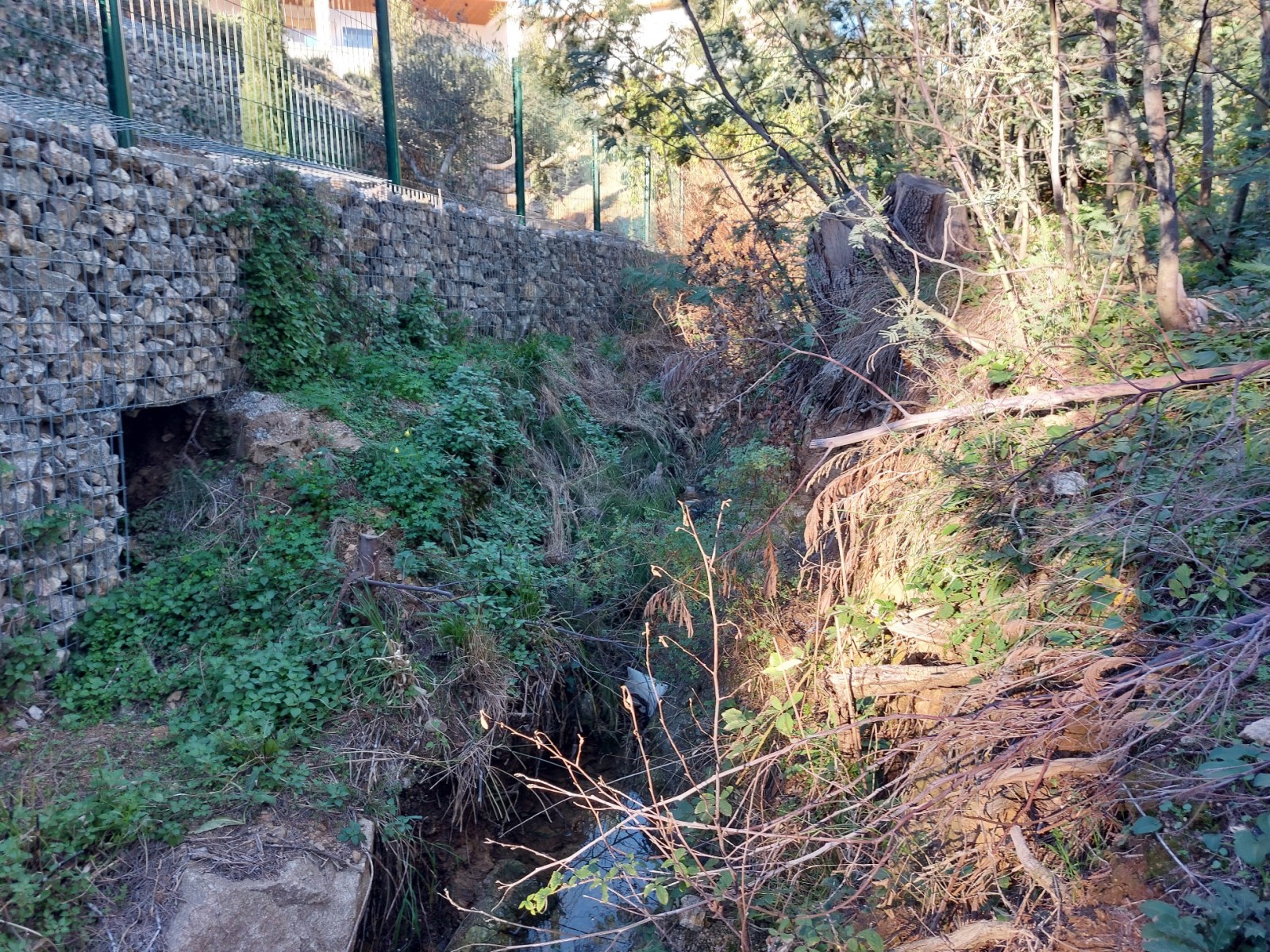 Etude hydraulique pour la mise en place d'un bassin de régulation des eaux pluviales à GRIMAUD 83310, dans le Var (83)