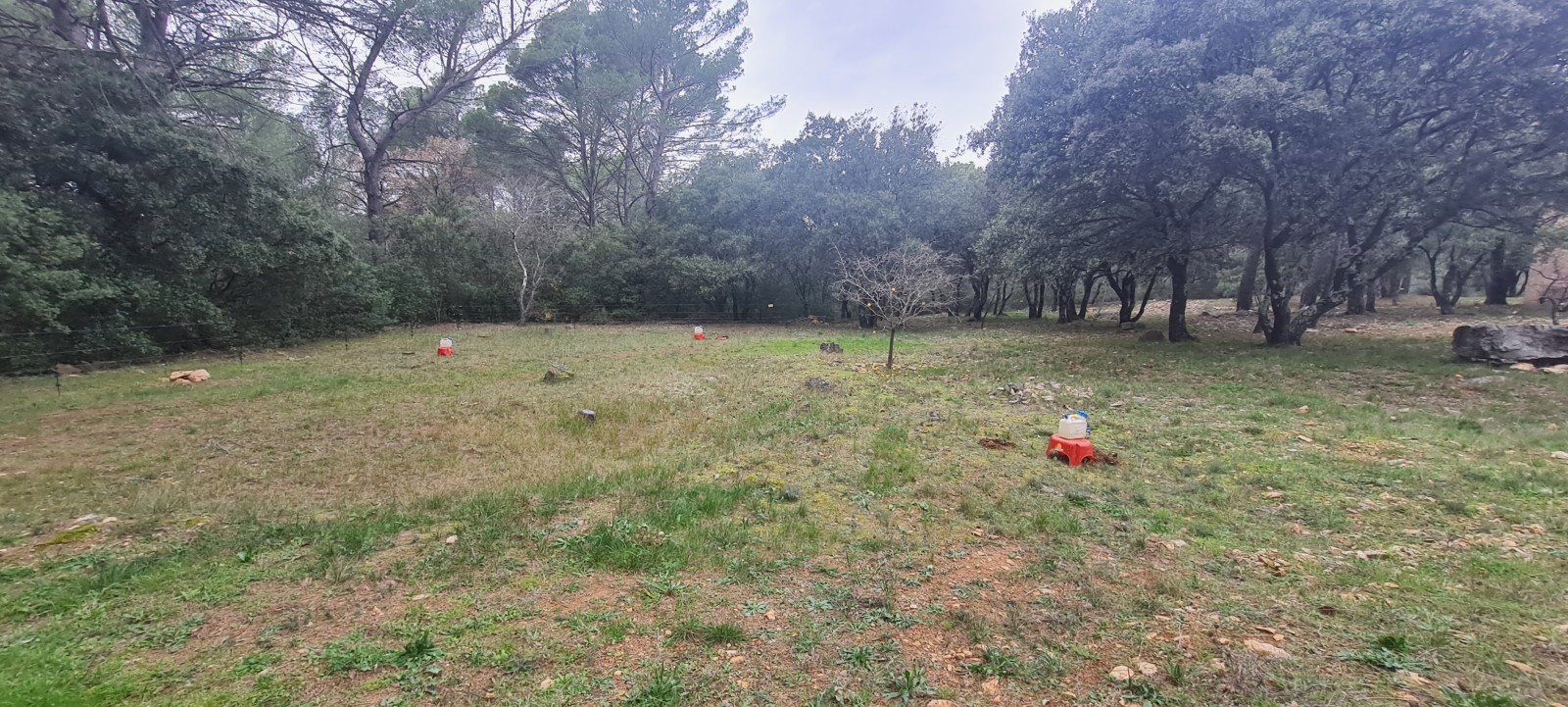 Etude de sol hydrogéologique pour la définition d'une filière d'assainissement non collectif sur la commune de SAINT ANTONIN DU VAR dans le VAR (83) - vue d'ensemble des sondages