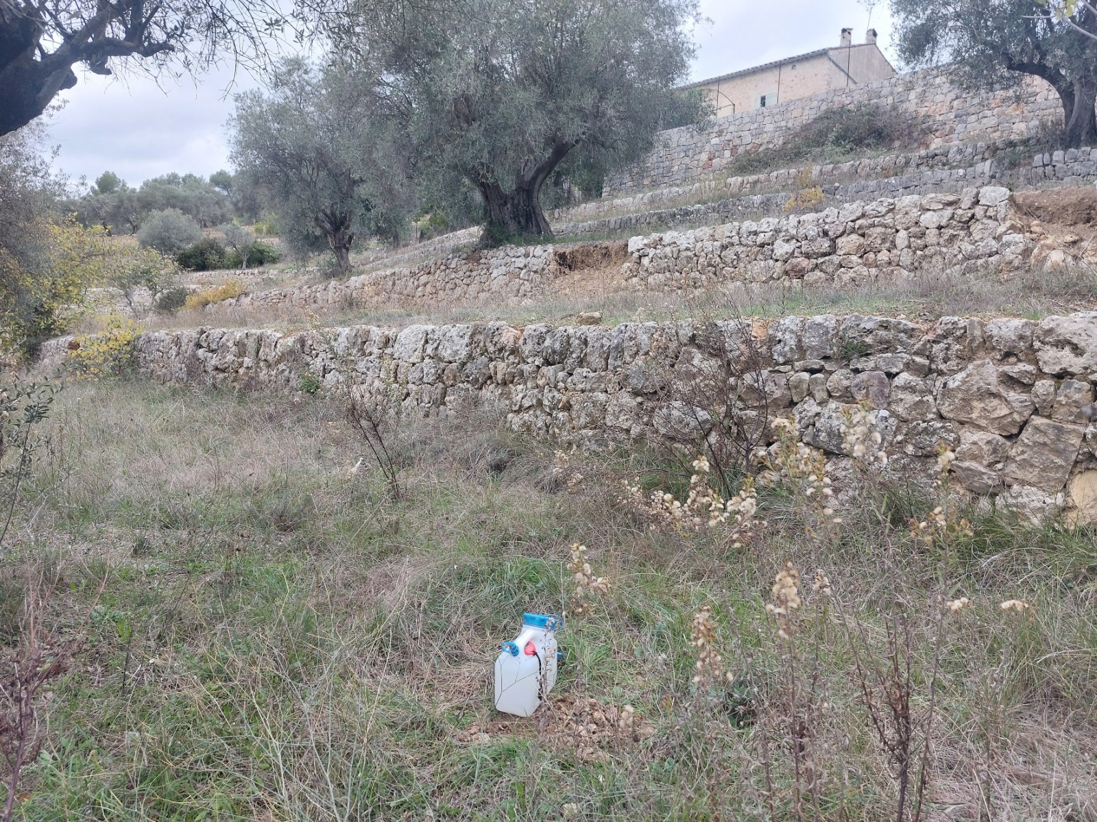 Etude hydraulique pour la mise en place d'un système de régulation des eaux pluviales sur MONTAUROUX 83440, dans le Var 83