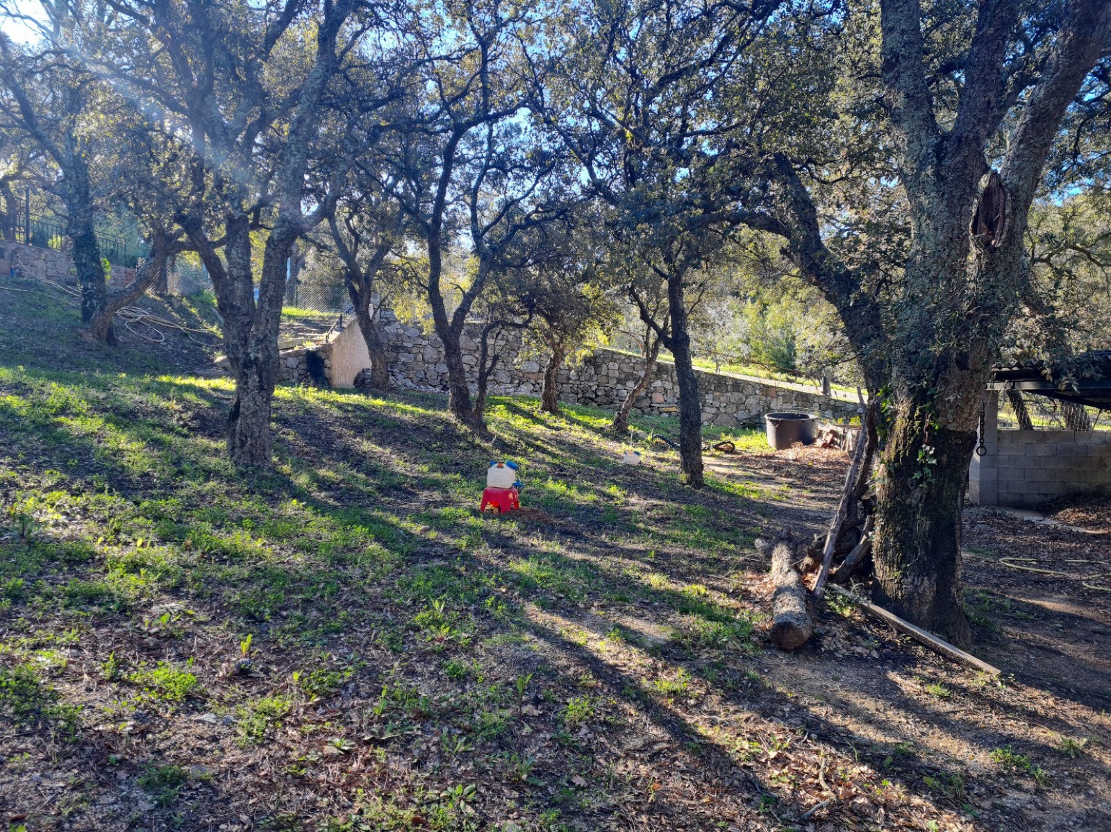 Etude de sol pour dimensionnement d'un futur système d'assainissement non collectif - étude zone 1