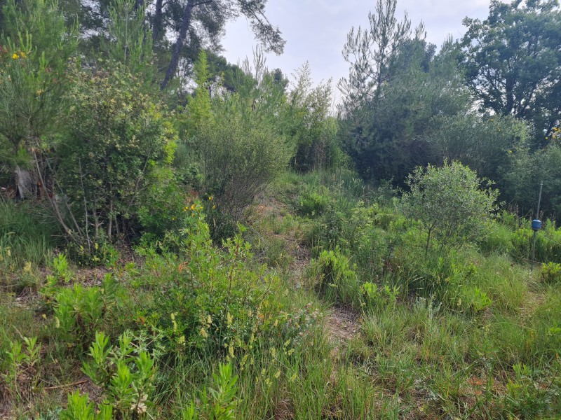 Étude G1 sur la  commune de vidauban 