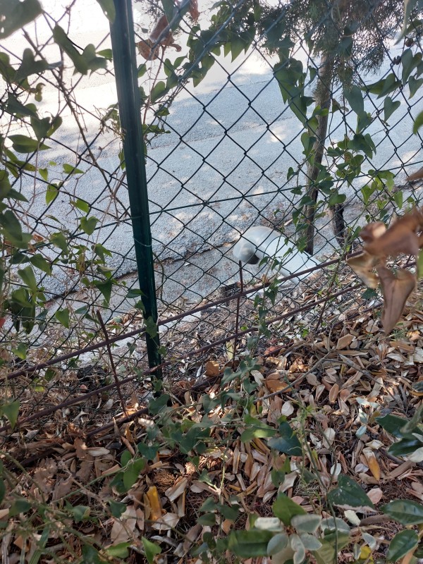 Etude hydraulique pour la mise en place d'un système de régulation des eaux pluviales par rétention sur GRIMAUD 83310, dans le Var 83