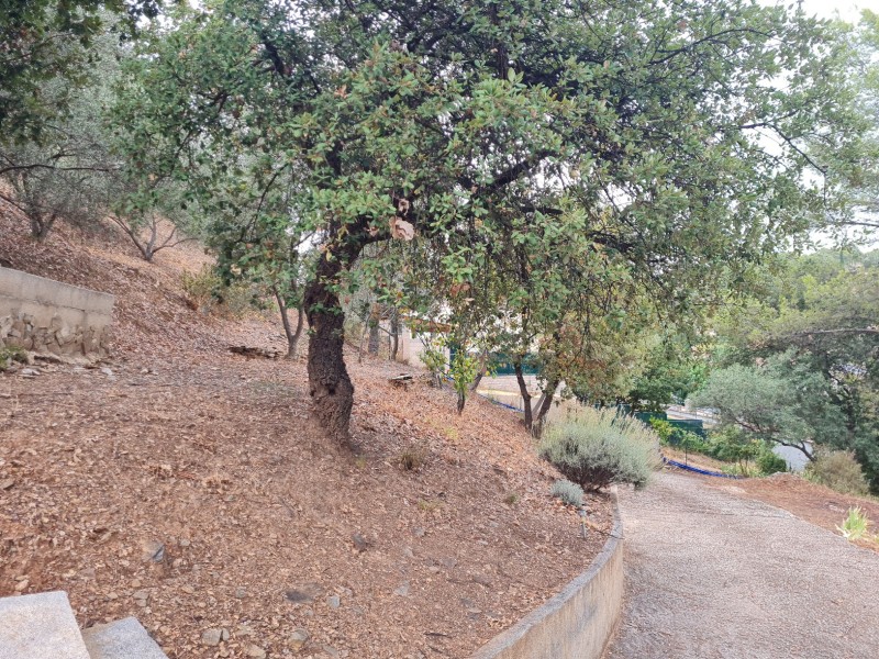 Étude G1 ES sur la commune de PIERREFEU DU VAR 