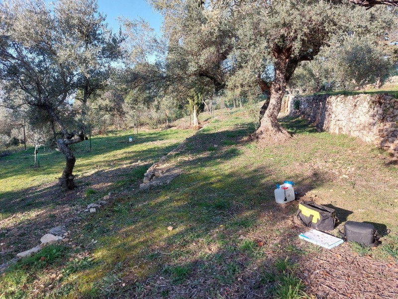 Etude hydraulique pour la mise en place d'un système de régulation des eaux pluviales sur MONTAUROUX 83440, dans le VAR (83)