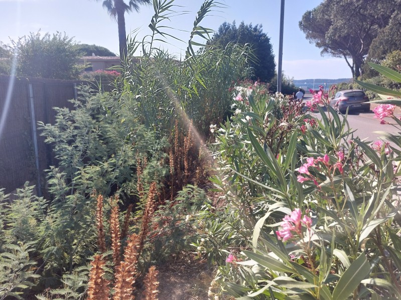 Etude hydraulique pour la mise en place d'un système de régulation des eaux pluviales par rétention sur SAINTE-MAXIME 83120, dans le Var 83