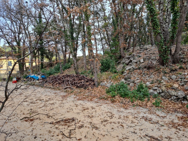 Etude de sol hydrogéologique pour la définition d'une filière d'assainissement non collectif sur la commune de BESSE SUR ISSOLE dans le VAR (83) - vue d'ensemble d'une première zone