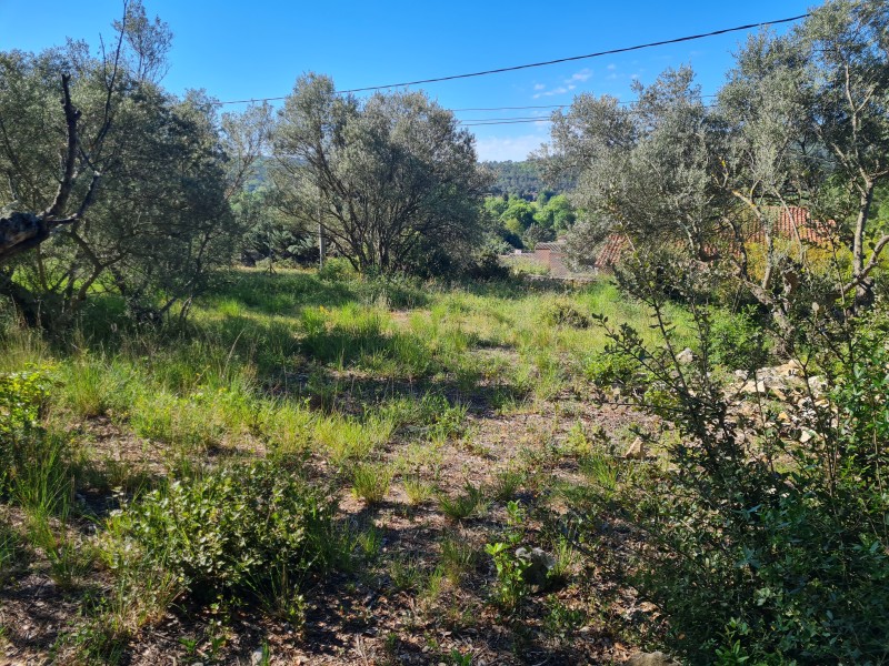 Etude de sol géotechnique G1 ES pour la vente d'un terrain sur la commune de Camps la source dans le Var 83