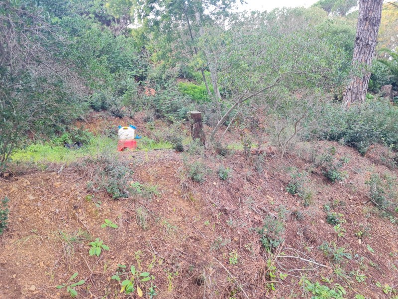 Reprise d'un dossier d'assainissement non collectif sur la commune de LA CROIX VALMER dans le Var (83) - vue d'ensemble du terrain étudié