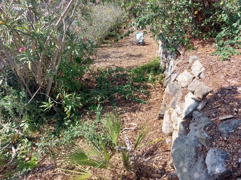 Etude hydraulique pour la mise en place d'un bassin de régulation des eaux pluviales à Roquebrune-Cap-Martin dans les Alpes Maritimes (06).