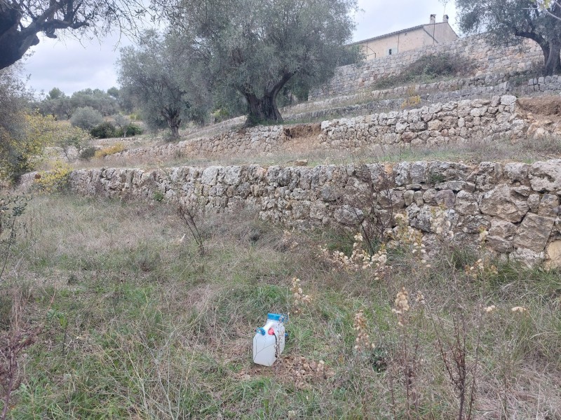 Etude hydraulique pour la mise en place d'un système de régulation des eaux pluviales sur MONTAUROUX 83440, dans le Var 83